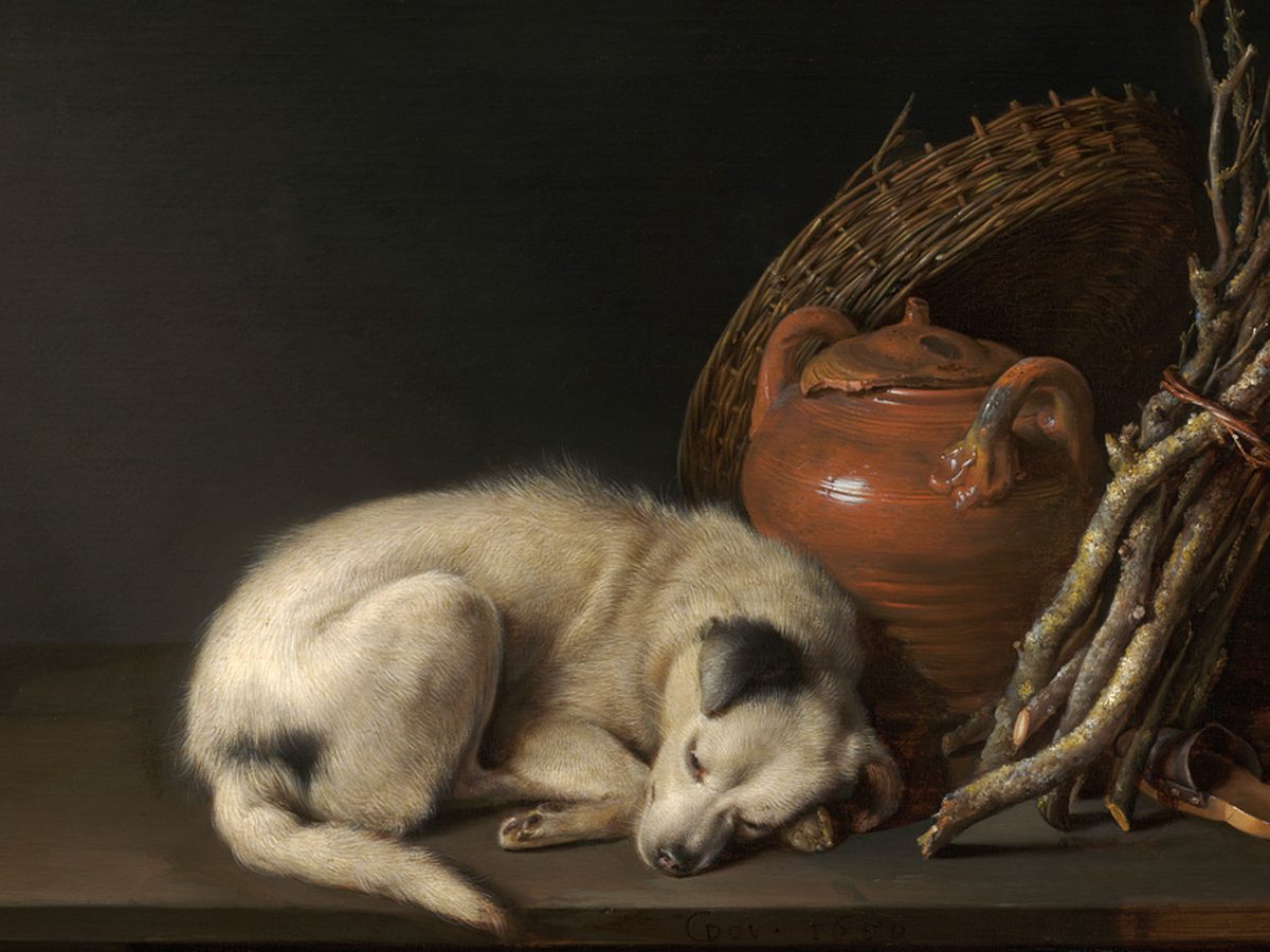 A 17th-century oil painting of a small white dog curled up asleep beside a clay pot and a basket.